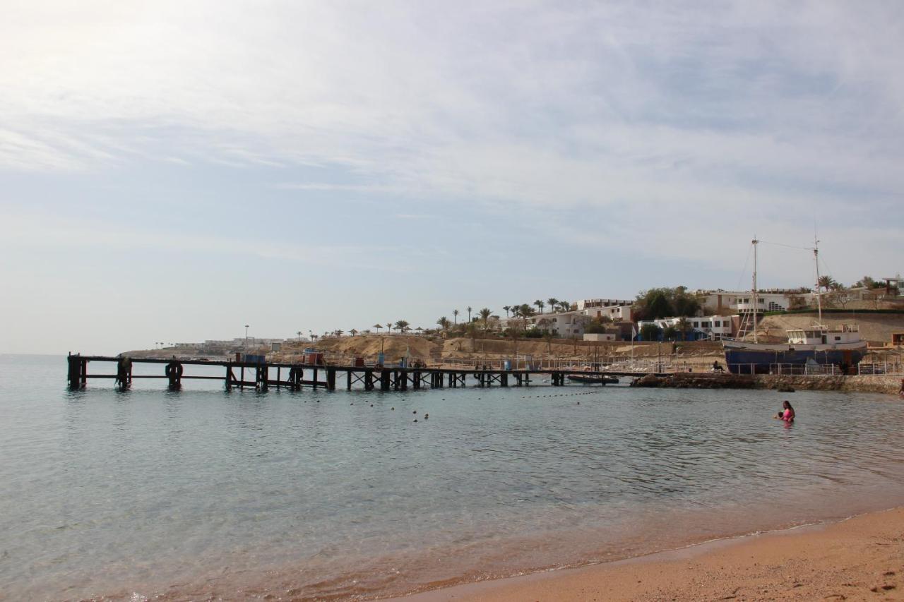 Sunshine Divers Club - Il Porto Sharm el-Sheikh Exteriör bild